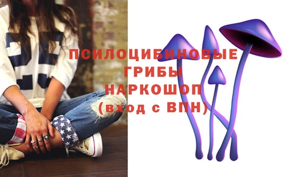 ECSTASY Зеленокумск