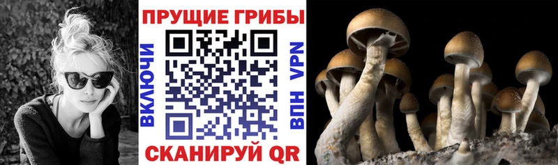 Галлюциногенные грибы MAGIC MUSHROOMS купить закладку Бирск