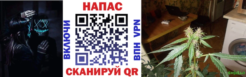 закладки  Бирск  Конопля VHQ 